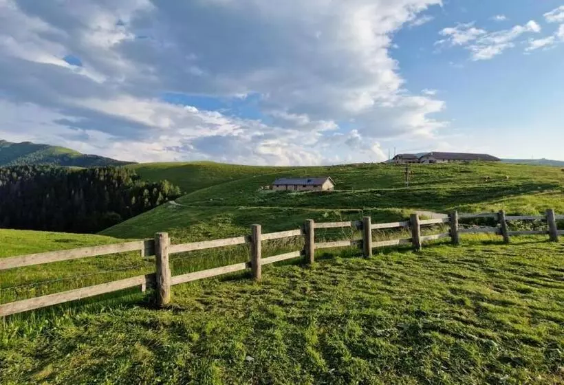 Majatalo Malga Arpaco  Camere E Ristorante