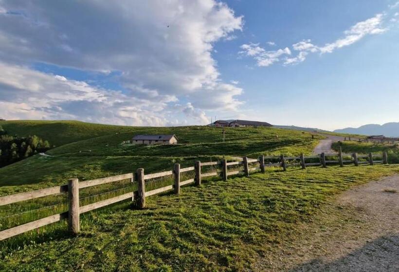 펜션 Malga Arpaco  Camere E Ristorante