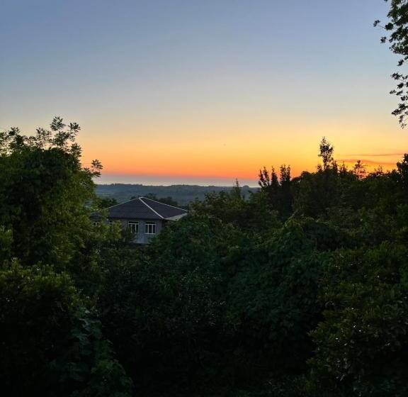 پانسیون Shromantic Garden