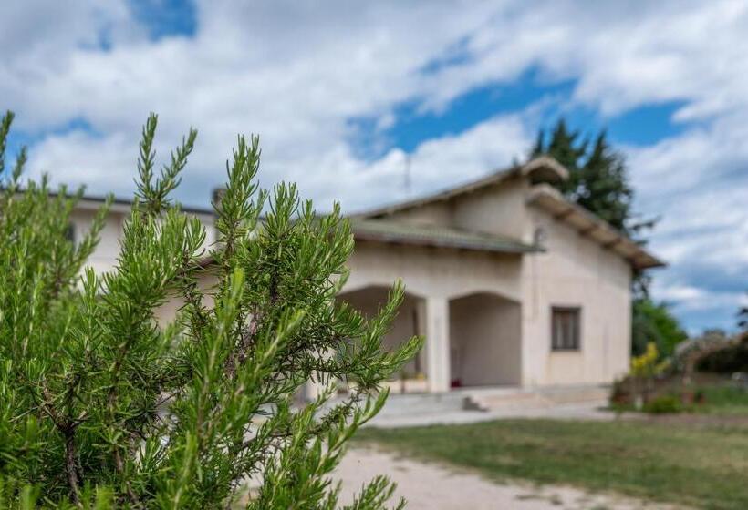 Pension Villa D Angelo