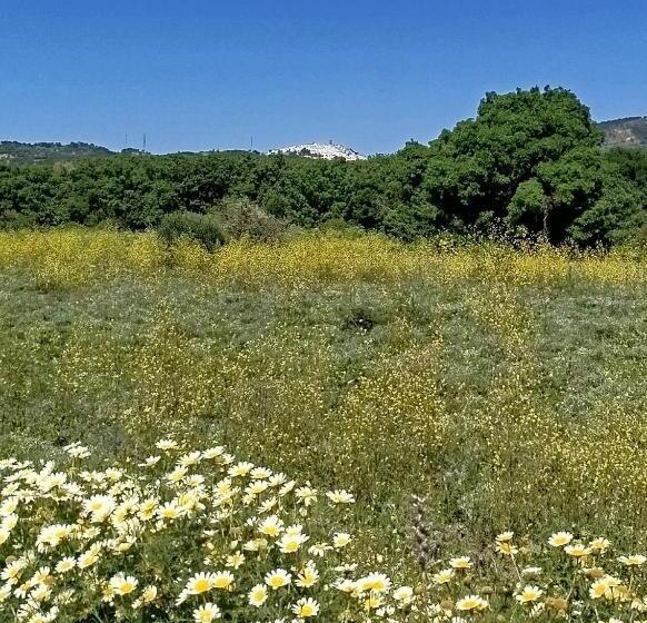 مبيت وإفطار Casa Aljibe