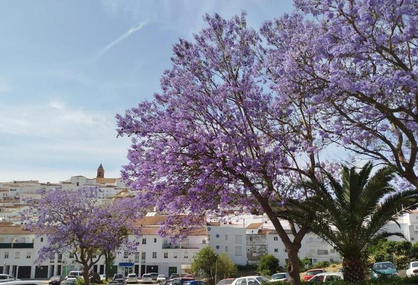 مبيت وإفطار Casa Aljibe