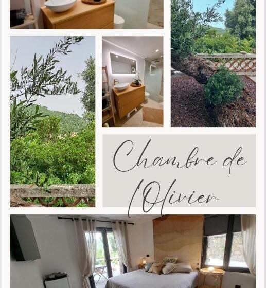 تختخواب و صبحانه Chambre De L Olivier