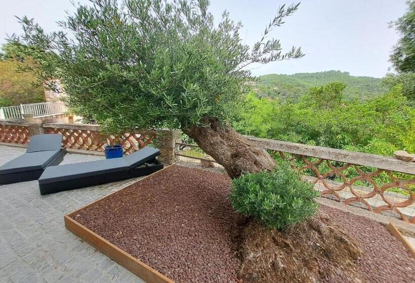 تختخواب و صبحانه Chambre De L Olivier