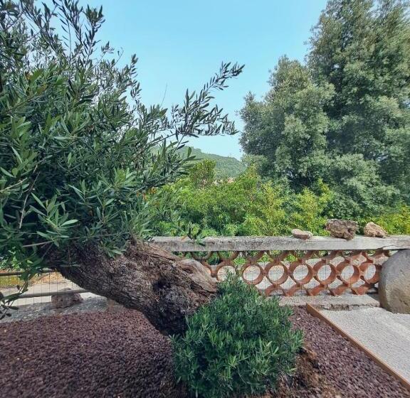 تختخواب و صبحانه Chambre De L Olivier