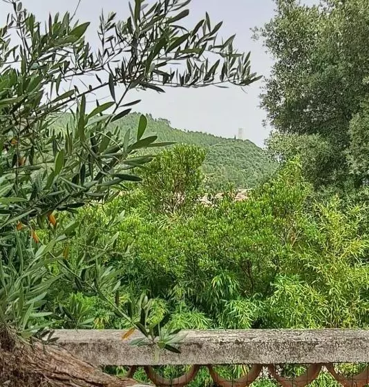 Aamiaismajoitus (B&B) Chambre De L Olivier