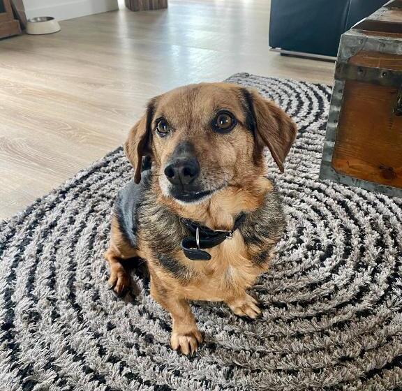 مبيت وإفطار Charmante Suite Avec Jacuzzi Dans Maison Atypique