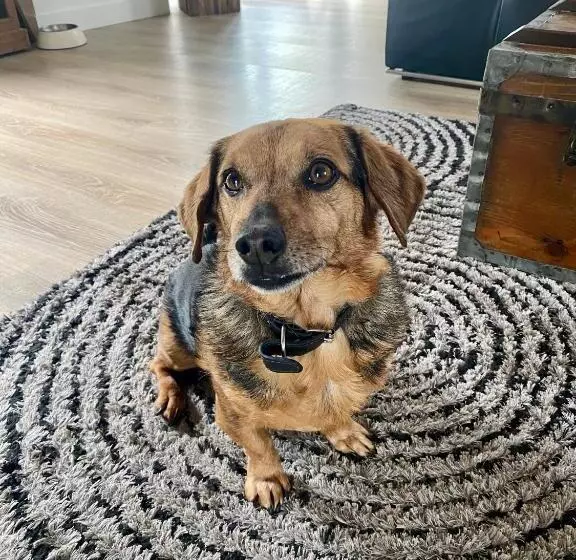 Aamiaismajoitus (B&B) Charmante Suite Avec Jacuzzi Dans Maison Atypique