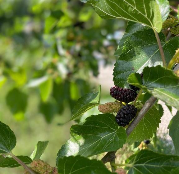 민박 La Beata Giovanna