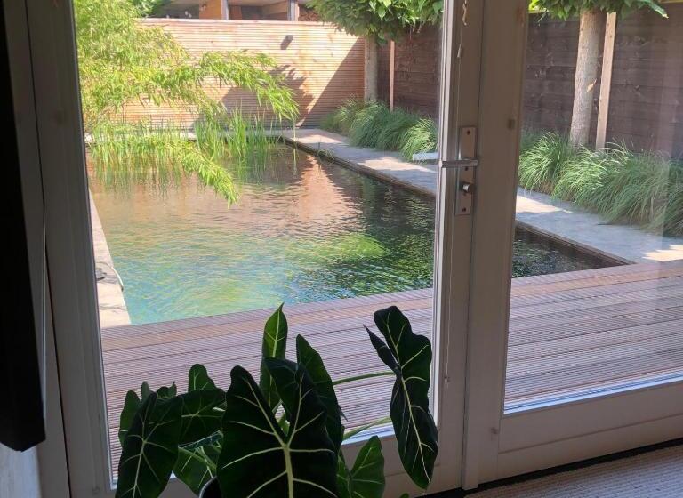 住宿加早餐 The Little White House