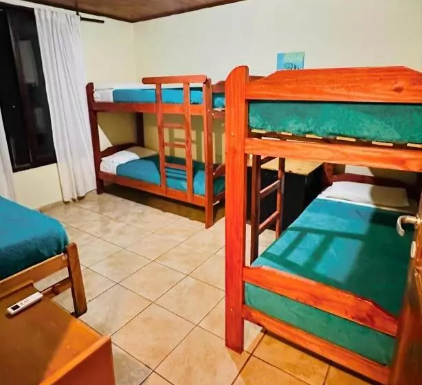 Benteveo Hostel Iguazu
