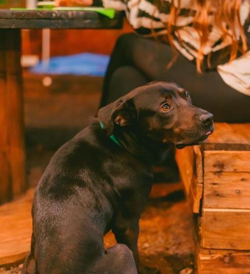 Benteveo Hostel Iguazu