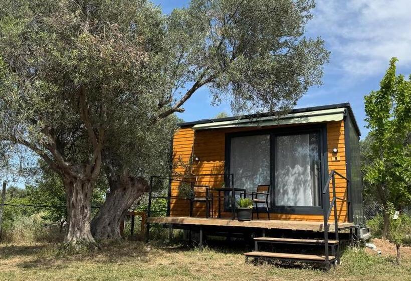 فندق Cnr Kitehouse