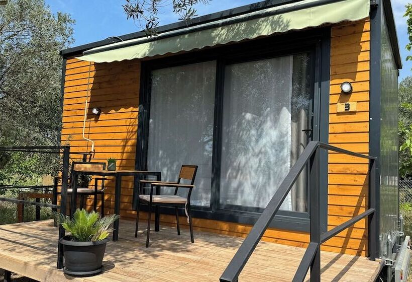 فندق Cnr Kitehouse