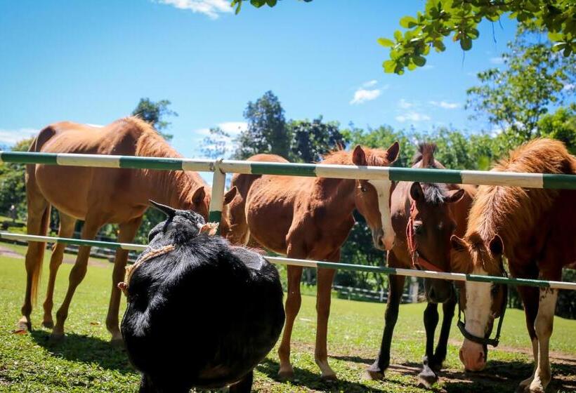 Hotel Lakma Holidays