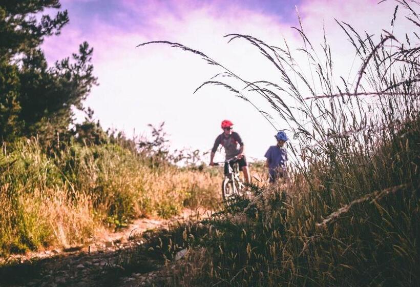 Sgrafit Hotel Self Check In