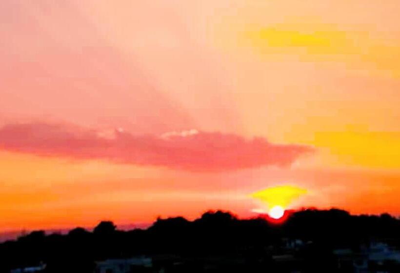 Hotel The Green Acres