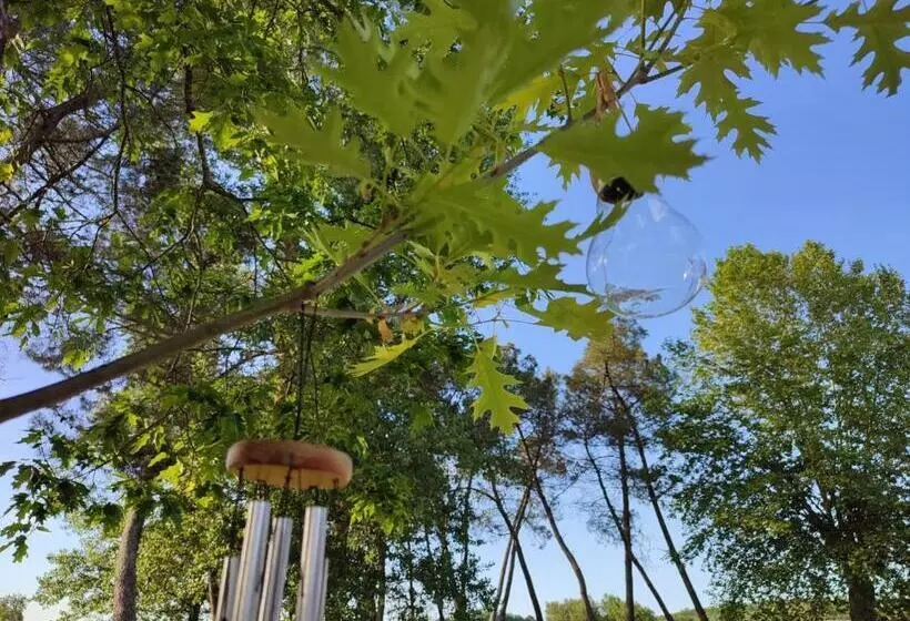 Majatalo Hózhó Tempo   Sous Les Toits, Loft écofriendly & Slowlife Avec Sauna