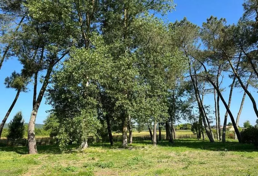 Majatalo Hózhó Tempo   Sous Les Toits, Loft écofriendly & Slowlife Avec Sauna