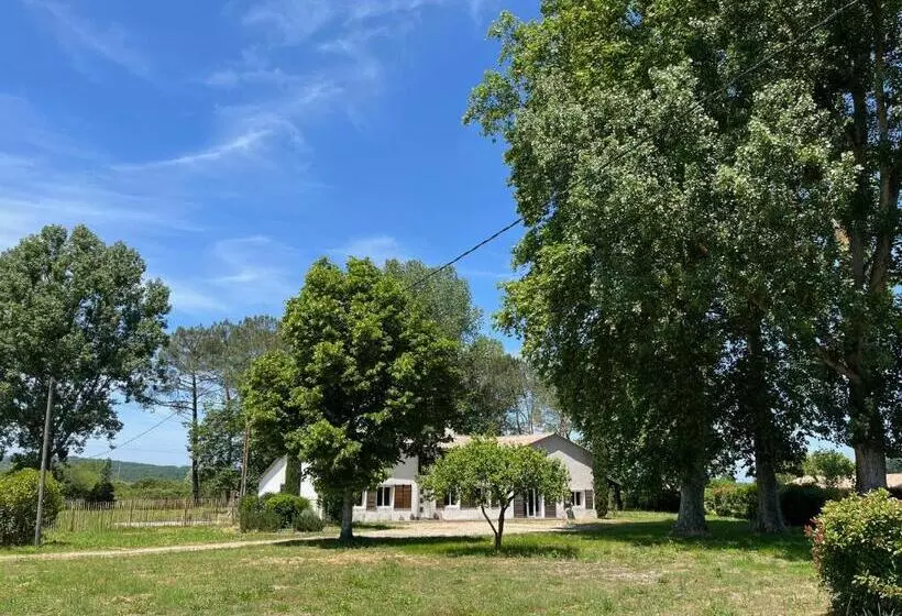 Majatalo Hózhó Tempo   Sous Les Toits, Loft écofriendly & Slowlife Avec Sauna