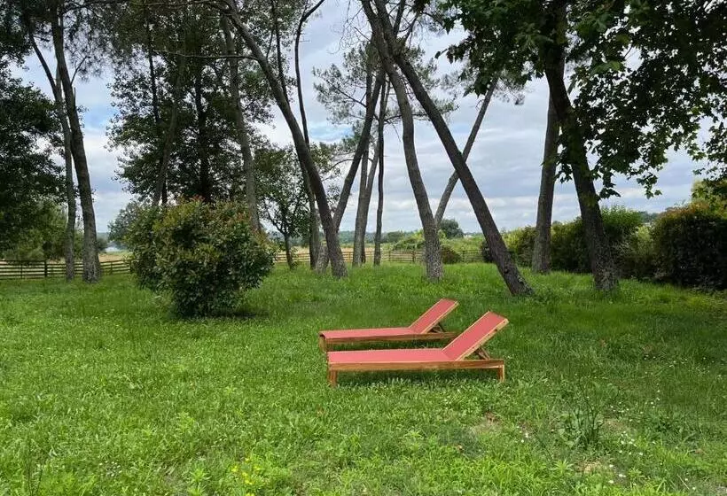 Majatalo Hózhó Tempo   Sous Les Toits, Loft écofriendly & Slowlife Avec Sauna