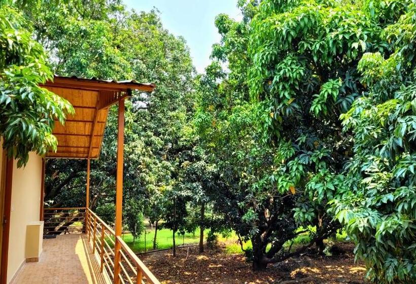 The Greenwich Resort