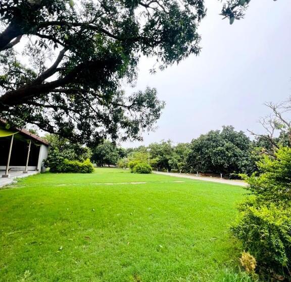 The Greenwich Resort