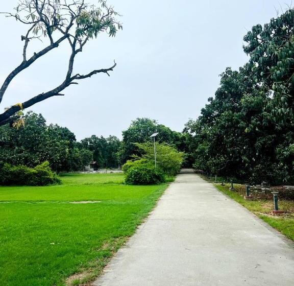 The Greenwich Resort