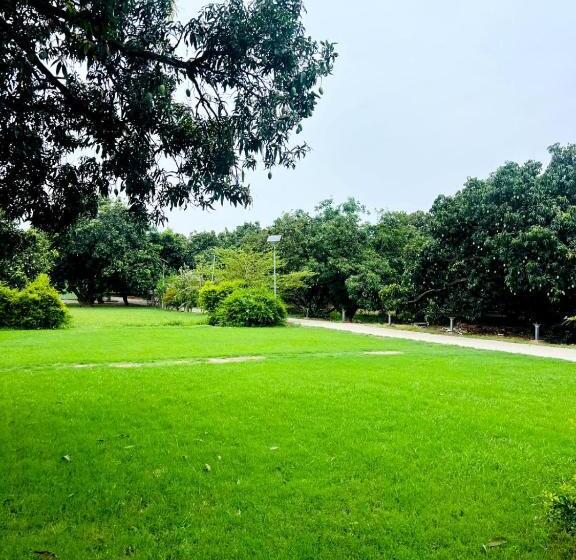 The Greenwich Resort