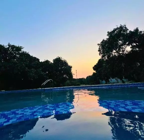 The Greenwich Resort