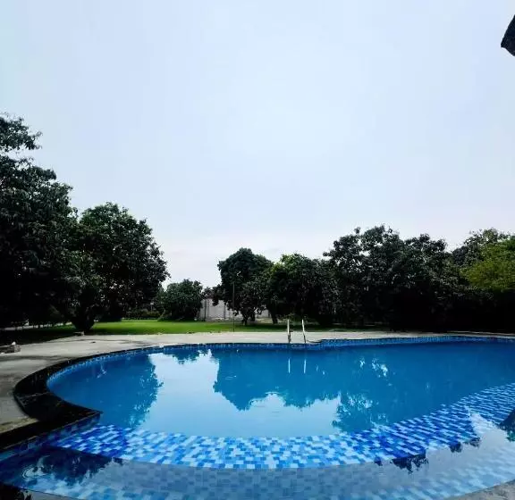 The Greenwich Resort