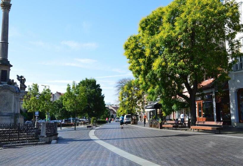 V62 Studio Apartments  In The Downtown