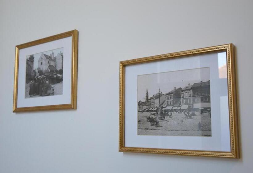 V62 Studio Apartments  In The Downtown