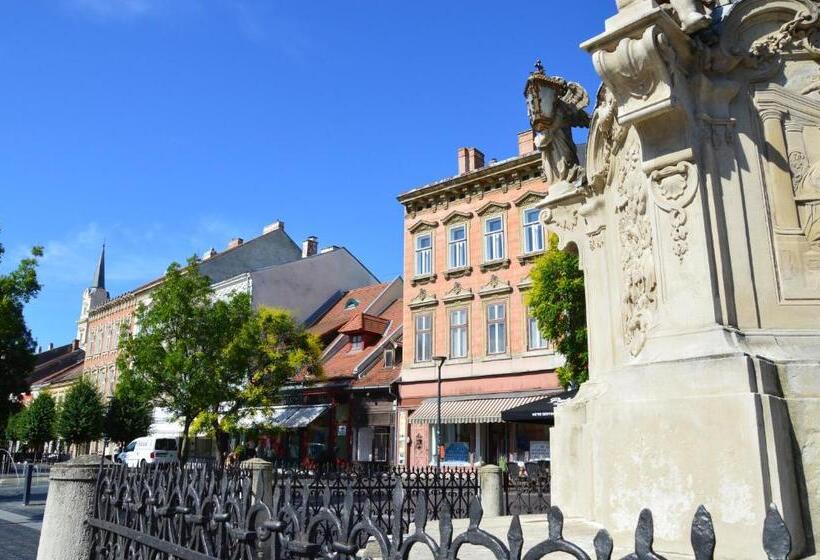 V62 Studio Apartments  In The Downtown