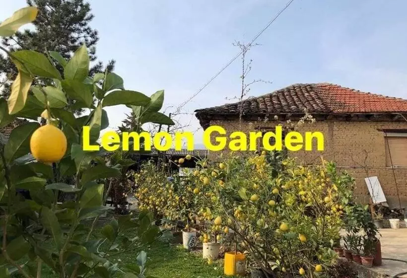 هاستل Lemon Garden