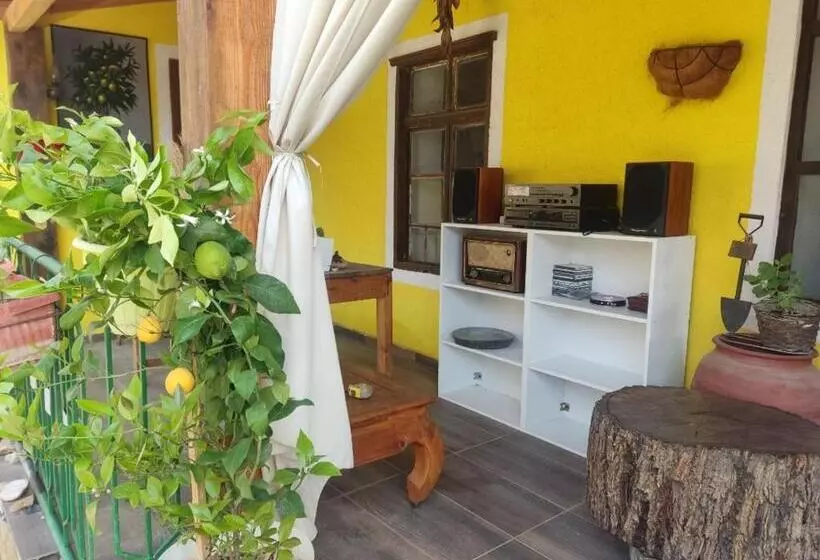 هاستل Lemon Garden