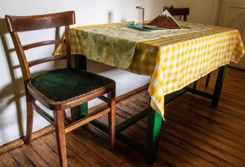 هاستل Lemon Garden