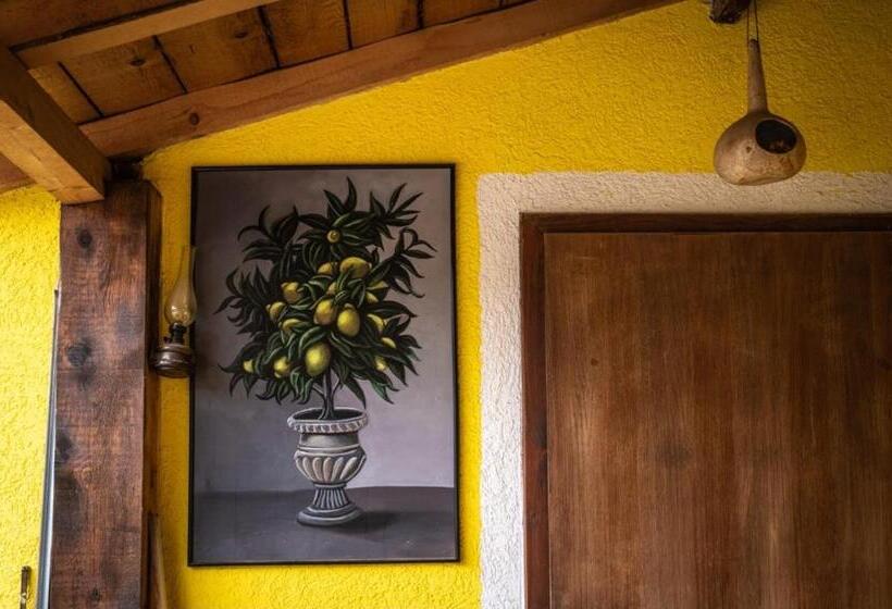 Schronisko Lemon Garden