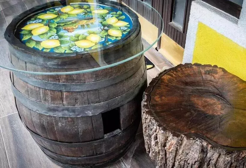 هاستل Lemon Garden