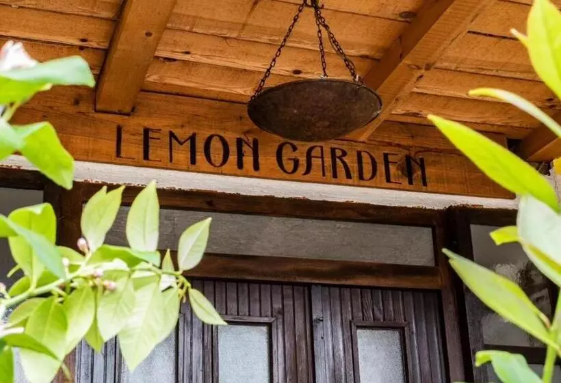 هاستل Lemon Garden