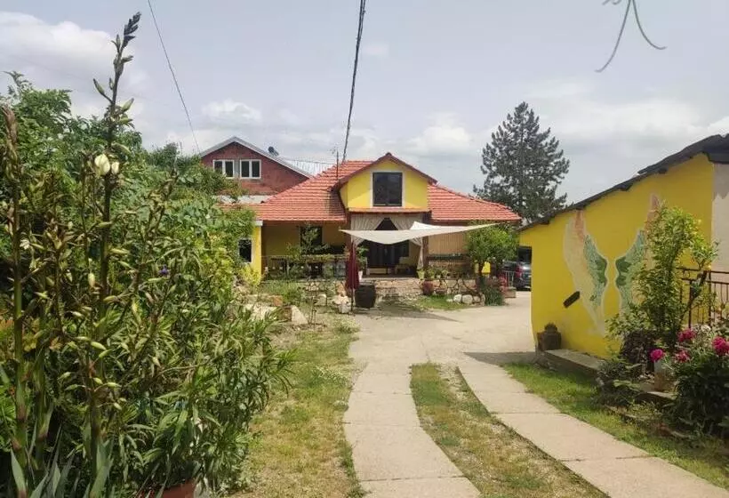 هاستل Lemon Garden