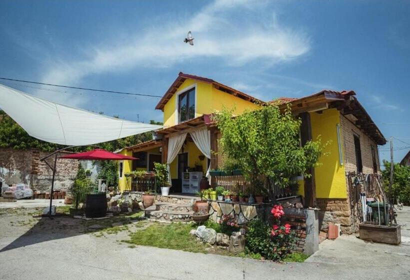 Schronisko Lemon Garden