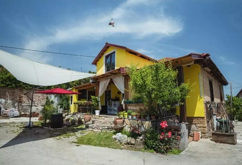 هاستل Lemon Garden