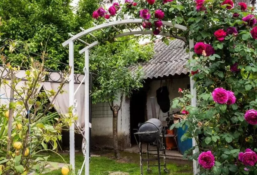 هاستل Lemon Garden