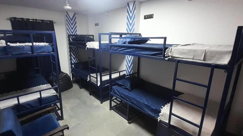 هاستل The Nomadique   Boys Only