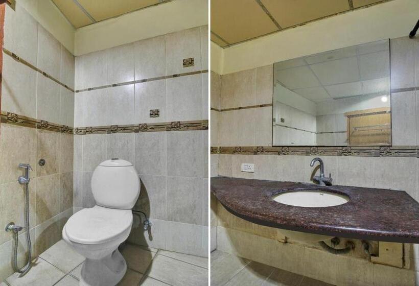 Отель Flagship Asian Metro International Near Birla Mandir