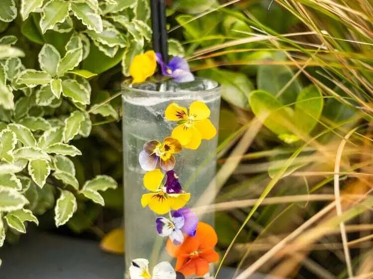 ホテル Radisson Red Galway