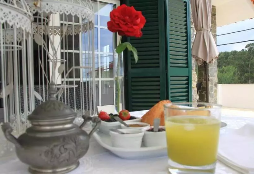 Hotelli Solar De São Jacinto   Country House