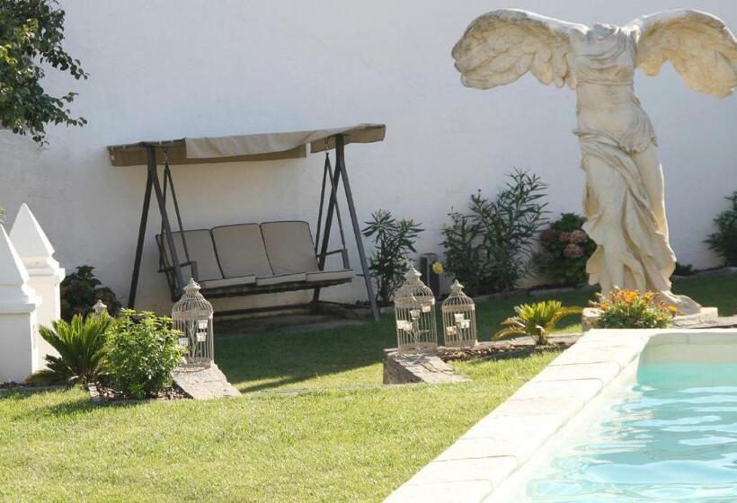 Отель Solar De São Jacinto   Country House