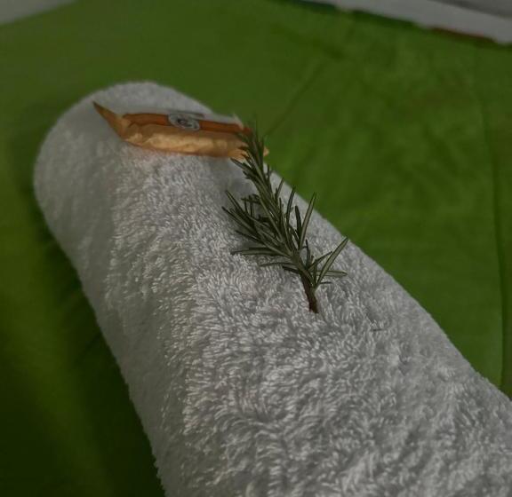 Hotel Villa Alegre Cieneguilla Perú